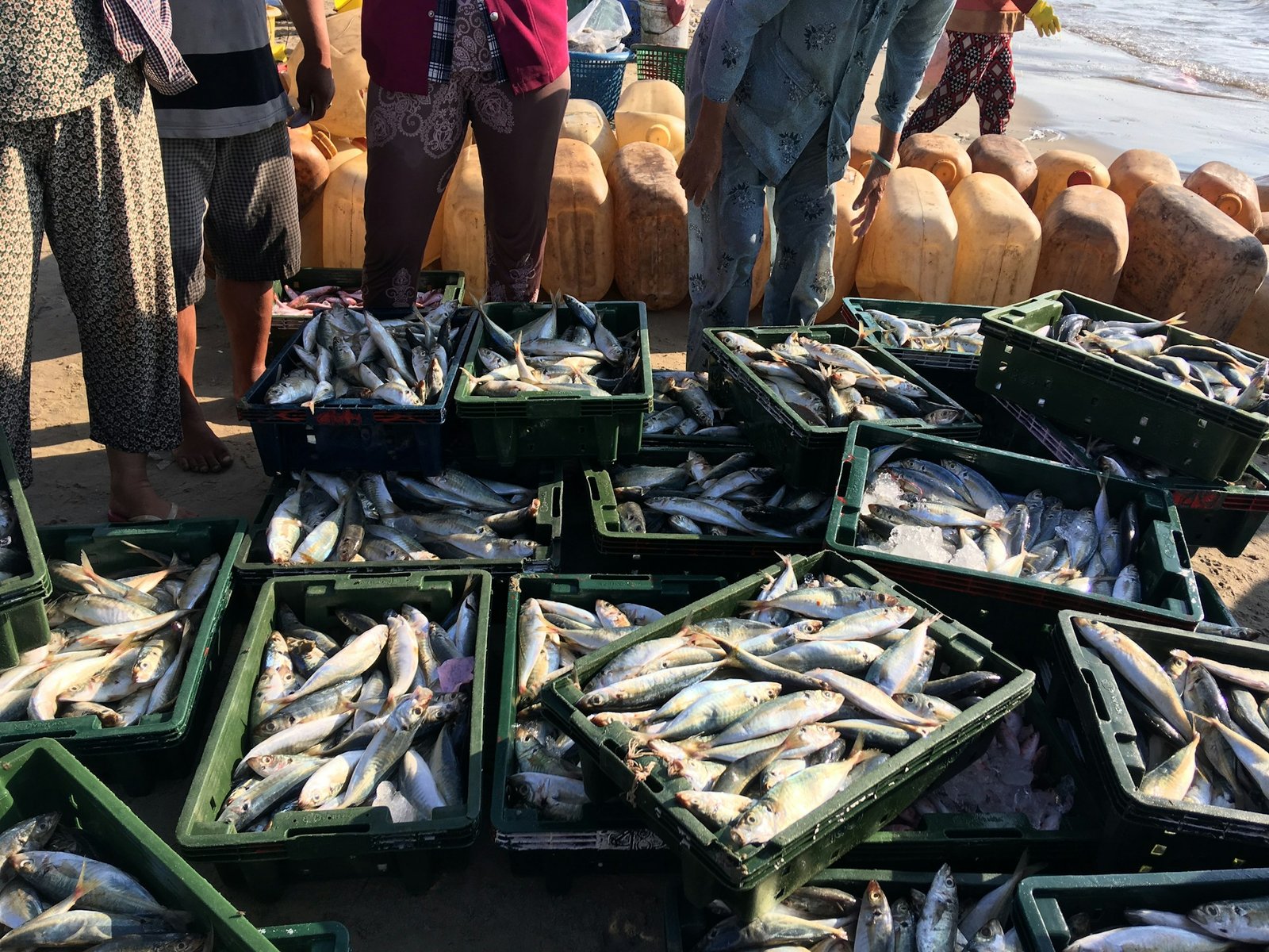 Fish trading in market