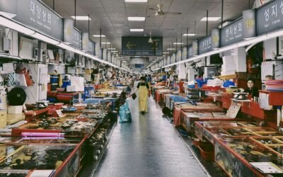 Regional Seafood Hubs Reshaping Global Supply Chains