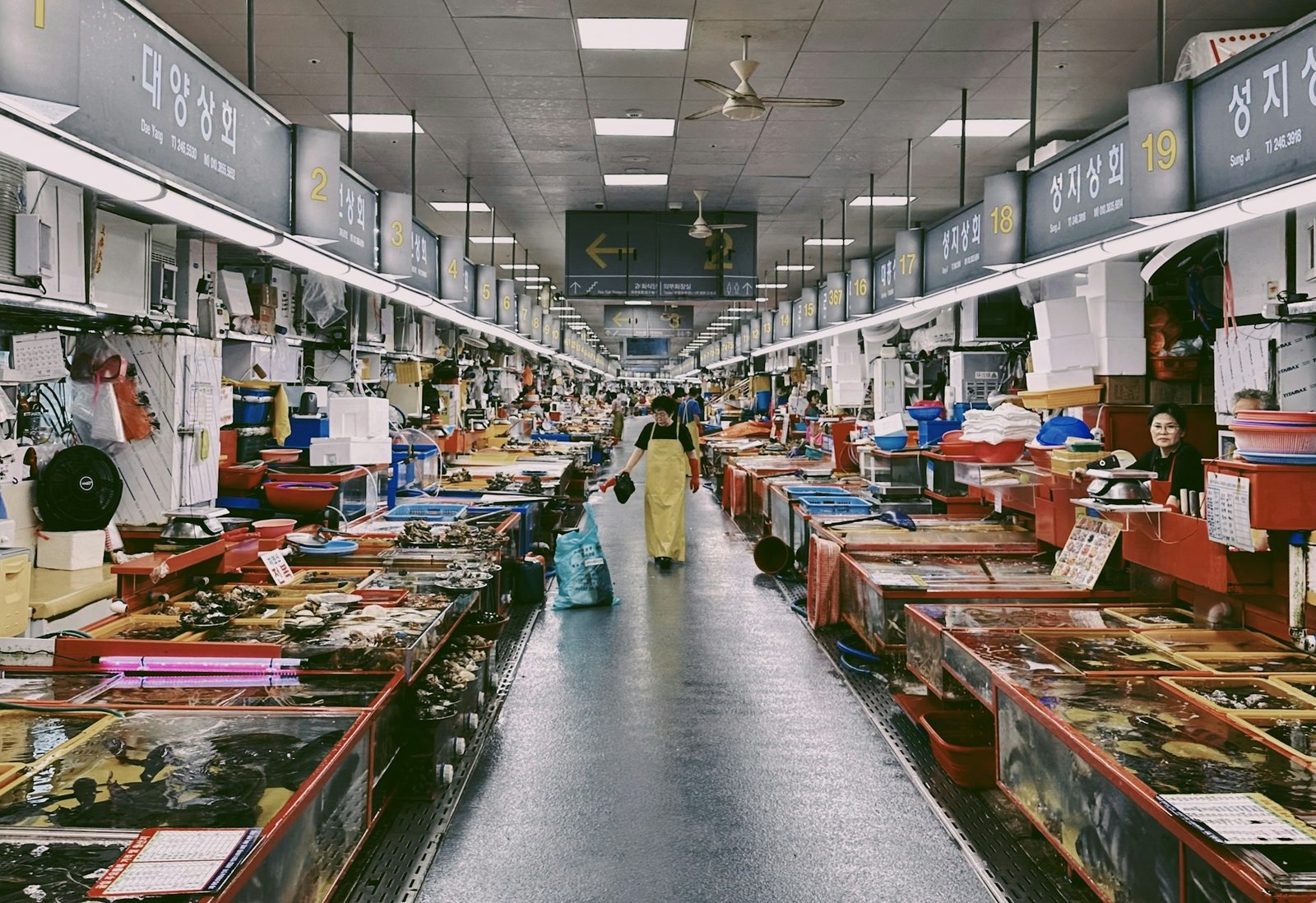 A Seafood hub
