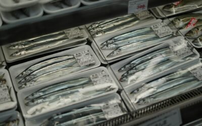 Seafood Carbon Labels: Do Consumers Care?