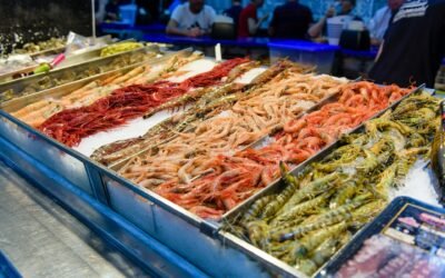 Blockchain in Seafood Traceability: Successes and Limitations