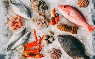 How AI Is Transforming Seafood Processing and Market Forecasting
