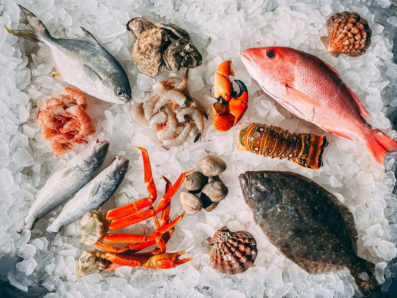 Seafood Processing