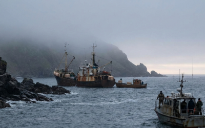 Illegal Seafood Trade: Pirate Fishing Crime Threats