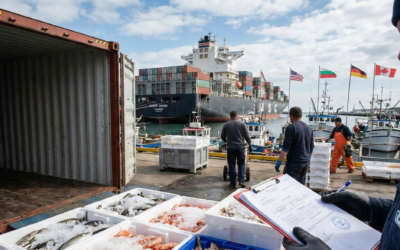 Building Your Seafood Brand in a Crowded Market