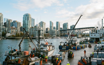 Seafood Industry Jobs: Top Coastal Cities 2026