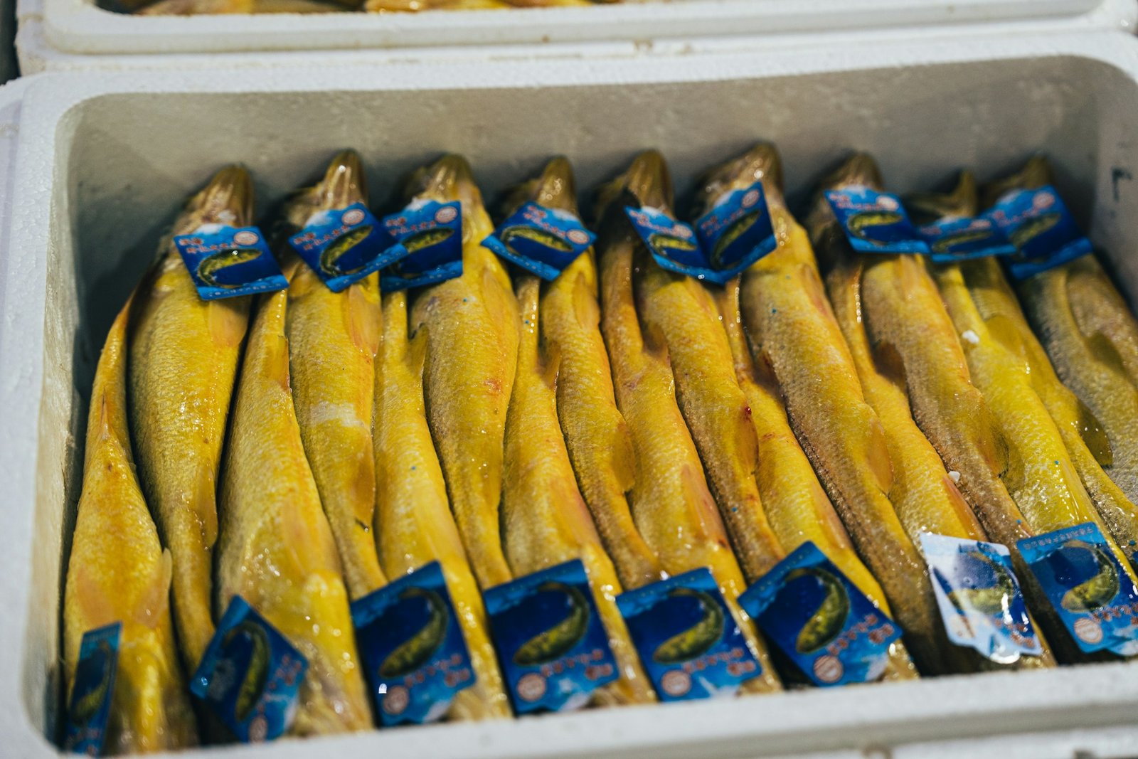 seafood packing
