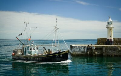 Commercial Fishing Jobs: Salary and Safety Requirements 2026