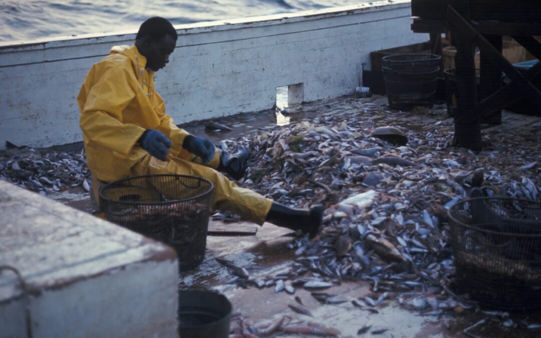 Can Bycatch Be Monetized Without Encouraging Overfishing?