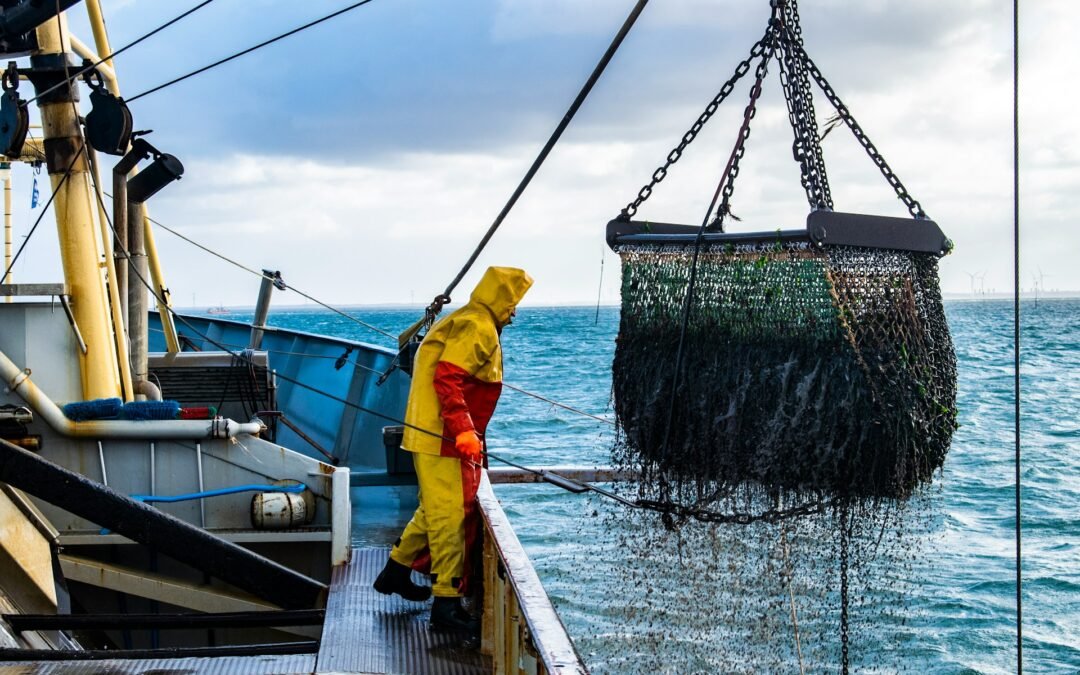 Turning Bycatch Into Opportunity: Balancing Profit and Sustainability
