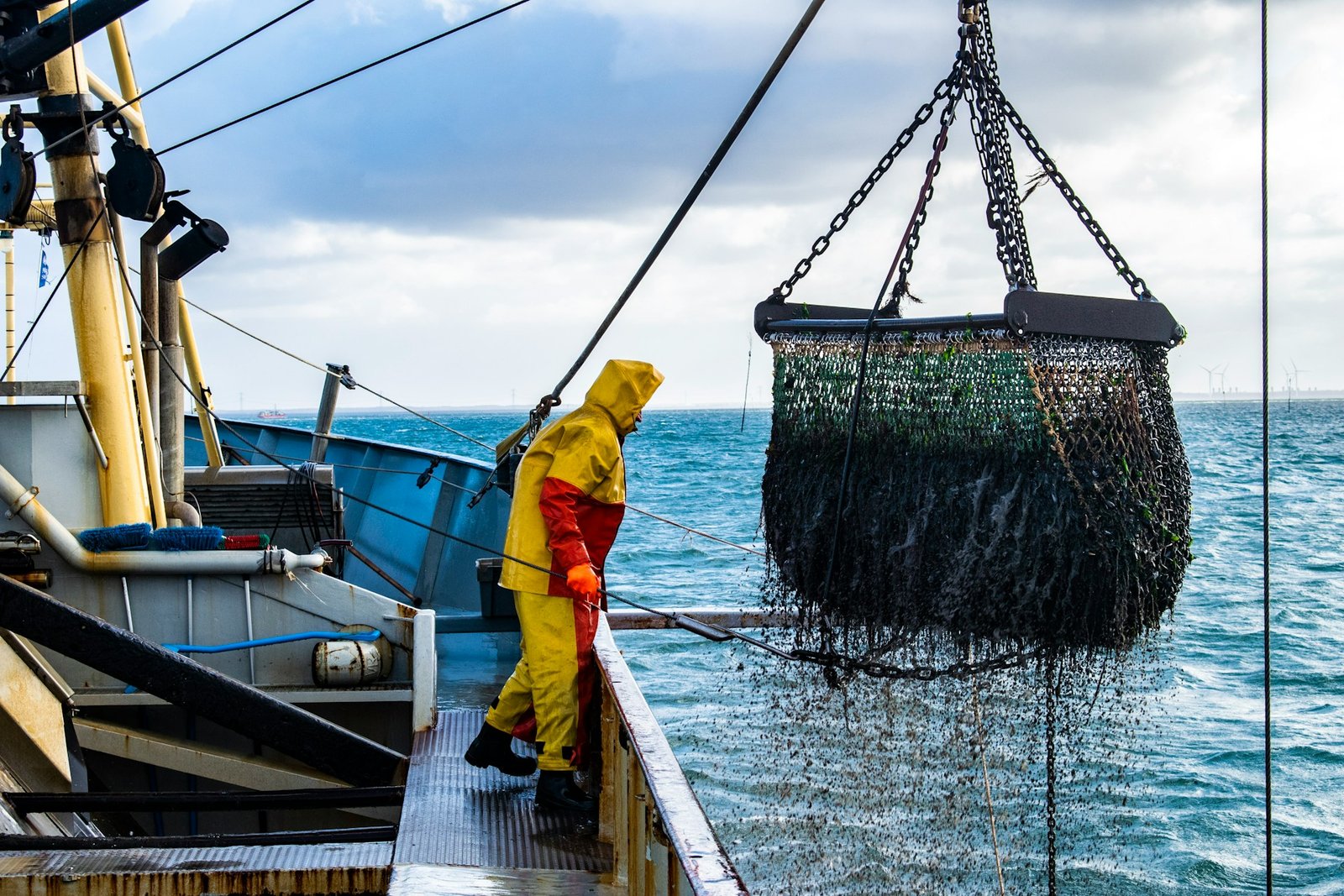 bycatch Fisheries