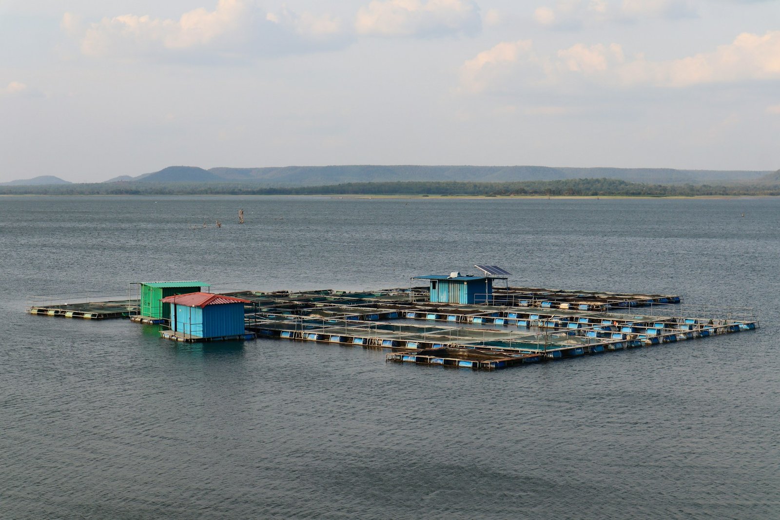 Fishing farm