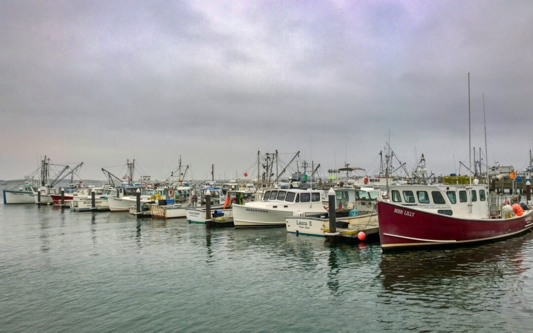 Are Sustainable Fisheries More Profitable?