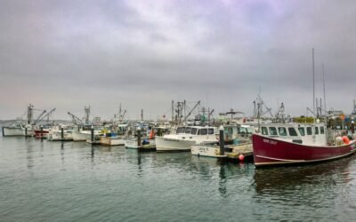 Are Sustainable Fisheries More Profitable?