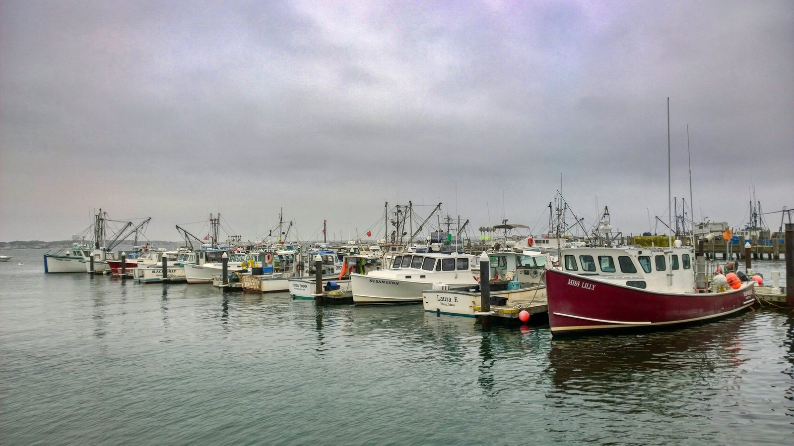 A harbour in USA
