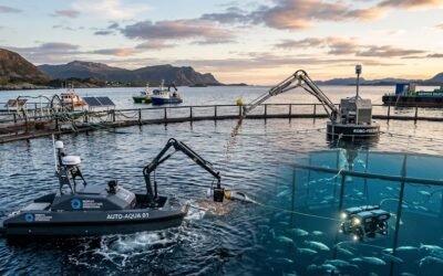 Autonomous Fish Farms: Robotics Transforming Aquaculture