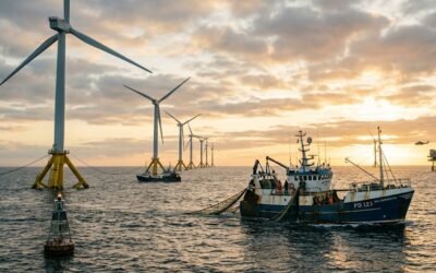 Floating Offshore Wind Farms and Fishing